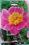 Bijūnas Birthday Flora Elite