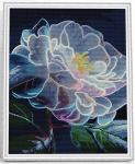 Deimantinė mozaika su rėmeliu TM Varvikas Peony bloom LG335e, 40x50 cm