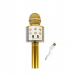 Mikrofonas Karaoke WS-858