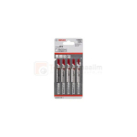 Bosch T 102 D pjūklas plastiko Pp Pe plok&scaron;tėms