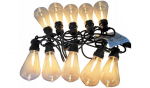 Sodo girlianda 10LED, 3m