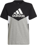 Mar&scaron;kinėliai berniukams Adidas B Cb T Ess Black Grey HA4025, juodi