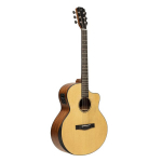 Elektroakustinė gitara James Neligan GLEN-OCE N