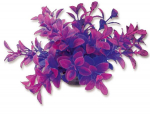 Folijos augalas 10cm 1f15 Happet