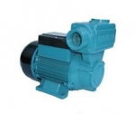 Hydroforinė siurblys Wz250 su valdikliu Brio Bm12