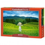 Dėlionė Castorland Rice Fields in Vietnam 1000 det