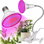 Gardlov 131693