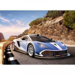 Dėlionė Castorland Arrinera Hussarya GT, 260 d.
