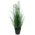 Dirbtinė pampų žolė vazonėlyje, 50 cm