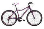 Kalnų dviratis Capriolo MTB Attack L, 26", violetinis/rožinis, Rėmas 19