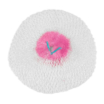 Universali žarų tinklinė lempa LUXOR 100 cp