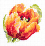 Siuvinėjimo rinkinys Magic Needle Red Tulip 150-010