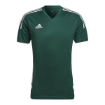 Mar&scaron;kinėliai vyrams Adidas, žali