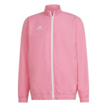Vyri&scaron;kas megztinis Adidas Entrada 22 HC5040, rožinis