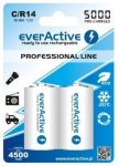 everActive C / R14 Ni-MH 5000 mAh Professional line įkraunamos baterijos (2 vnt. pakuotė)