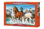 Dėlionė Castorland Call of Nature, 2000 detalių
