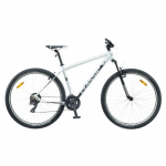 Miesto dviratis Classic Team 29", pilkas, XL