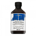 Plaukų &scaron;ampūnas riebiai galvos odai Davines Natural Tech Rebalancing Shampoo, 250 ml