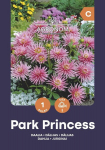 Žemaūgiai dekoratyviniai jurginai Park Princess