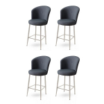 Baro kėdės rinkinys (4 vienetai) Alte - Anthracite, Chrome