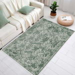 Kilimas Eexfab797 160x300 cm