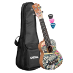 Soprano ukulelė Cascha Art Urban HH 2600