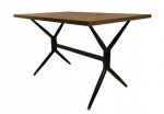 Stalas Elin, 120x80x75 cm, rudas