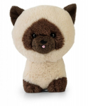 Teddy Pets - Mitingas Siamo Katės