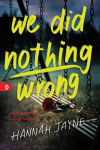 We Did Nothing Wrong, We Did Nothing Wrong