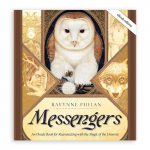 Messengers: An Oracle Book for Reconnecting with the Magic of the Universe - Knyga Blue Angel