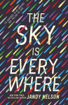 The Sky Is Everywhere, The Sky Is Everywhere