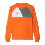 Džemperis Adidas Assita 17 Jr AZ5402, 51868, 116 cm