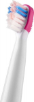 Elektrinio dantų &scaron;epetėlio antgalis Sencor SOX 013RS