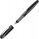 Plunksnakotis Schneider Ray, pilkos spalvos korpusas