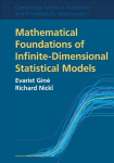 Mathematical Foundations of Infinite-Dimensional Statistical Models Revised edition