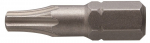 Antgalis Torx T9 25mm, 1 vnt.