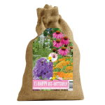 Liatriai, ežuolės, flioksai, kraujažolės Happy bee