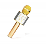 Karaoke mikrofonas