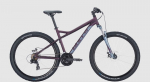 Dviratis 26 Bulls Nandi 21g, violetinis, 37