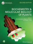Biochemistry and Molecular Biology of Plants 2nd edition