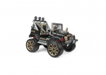 Dvivietis vaiki&scaron;kas elektromobilis Peg Perego Gaucho XP 24V, juodas