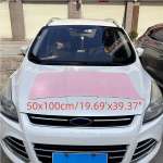 Mikropluo&scaron;to automobilio valymo &scaron;luostė, Rožinis