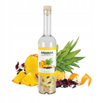 Butelis 500ml su vaisiais "ananasas" &ndash; pasidaryk pats