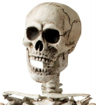 "SKELETAS" lankstomas - 160 cm