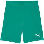 Vyri&scaron;ki Puma Team Goal &scaron;ortai, žali 705752 05, L