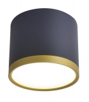 Candellux lubinis LED &scaron;viestuvas Tuba, juodas/auksinis