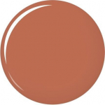 Lūpų dažai Shiseido VisionAiry Gel 1.6 g, 201 Cyber Beige
