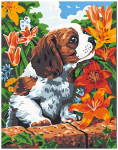 Pie&scaron;imo rinkinys Betti 30x40