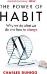 Power of Habit : Why We Do What We Do, and How to Change