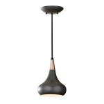 Pakabinamas &scaron;viestuvas Elstead Lighting Beso FE-BESO-P-S-DBZ